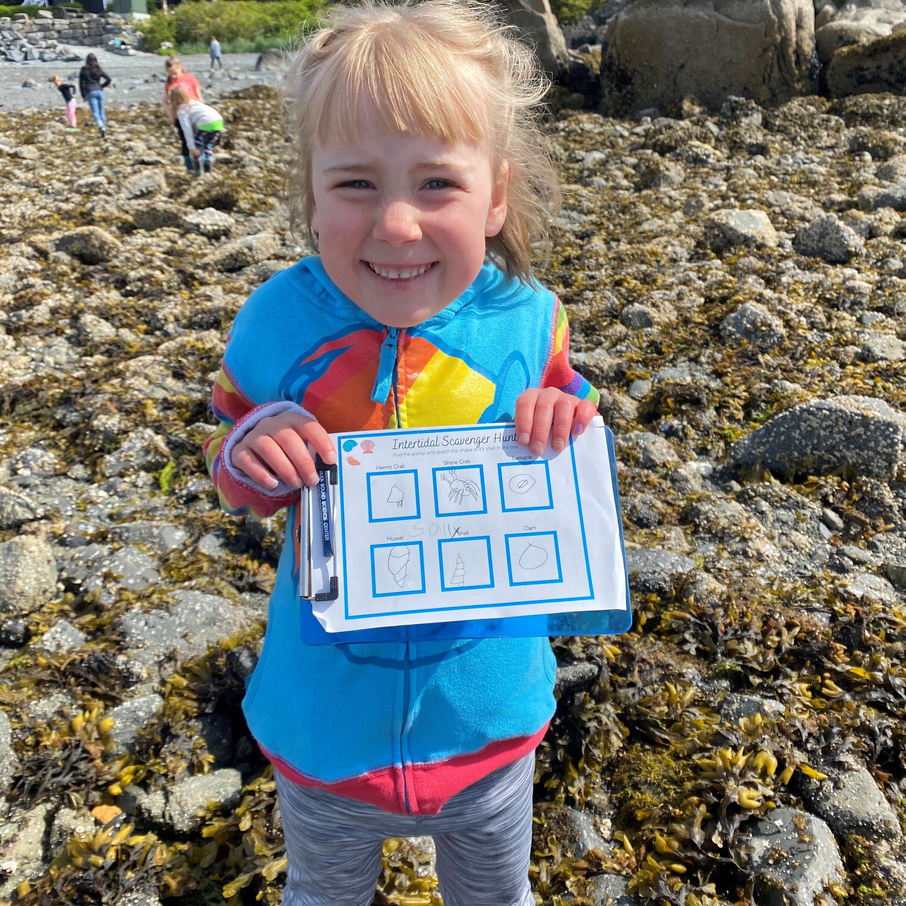 Playful Patterns: Pre-K - logo